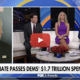 Scalise Fox and Friends 