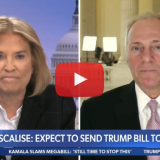 Scalise: Dems Will Have to Answer for Voting for Tax Hike on Americans