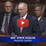Scalise Slams Democrats for Opposing Cuts to Wasteful Spending