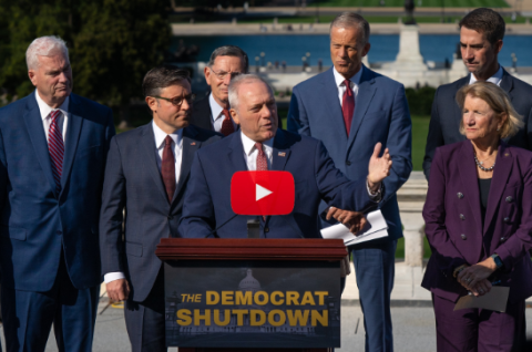 Scalise: Schumer Needs to End His Tantrum and Reopen the Government