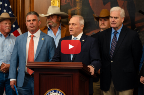 Scalise: We are Not a Nation that Settles Political Differences with Violence