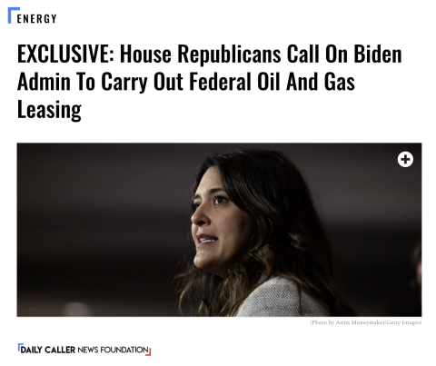 Rep. Stephanie Bice article