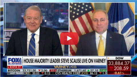Scalise: Government Bureaucrats Must Show Up to Work