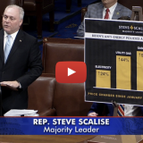 Scalise: H.R. 1 is the Answer to Biden’s Energy Inflation