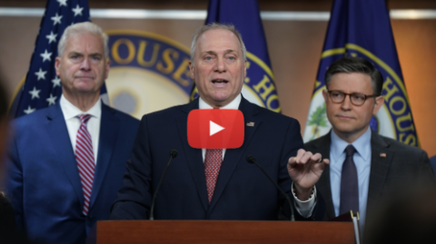 Scalise Exposes Democrat Hypocrisy on Voter ID
