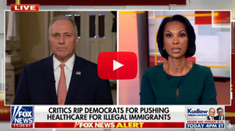 Scalise Slams Democrats for Shutting the Government Down