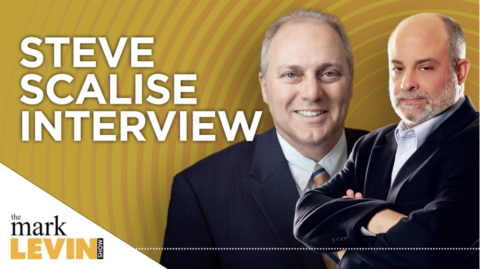 mark levin interview