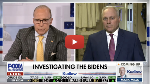 investigating the bidens